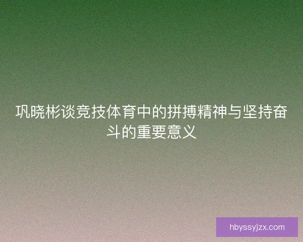 巩晓彬谈竞技体育中的拼搏精神与坚持奋斗的重要意义